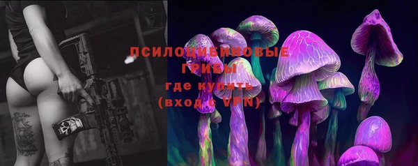 прущая мука Арсеньев