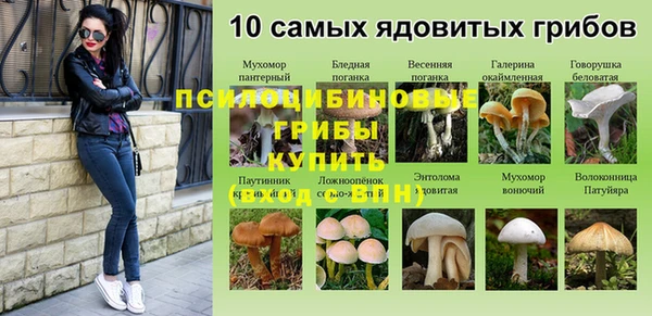 прущая мука Арсеньев
