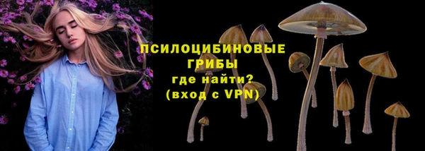 прущая мука Арсеньев