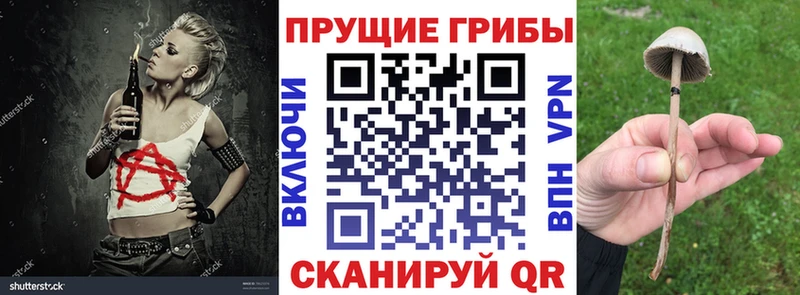 Галлюциногенные грибы Cubensis  сколько стоит  Пущино 